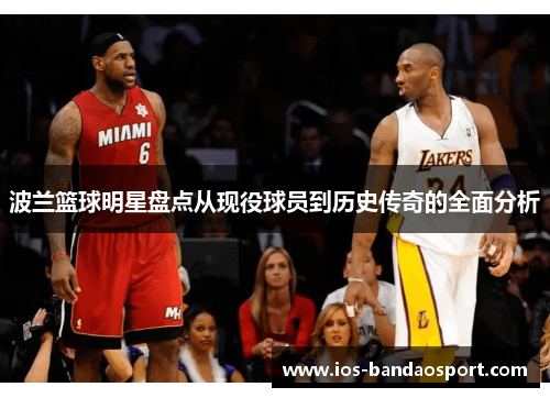 波兰篮球明星盘点从现役球员到历史传奇的全面分析