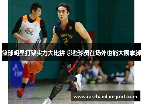 篮球明星打架实力大比拼 哪些球员在场外也能大展拳脚 篮球明星打架实力大比拼 哪些球员在场外也能大展拳脚