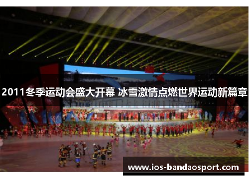 2011冬季运动会盛大开幕 冰雪激情点燃世界运动新篇章