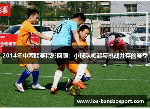 2014年中丙联赛精彩回顾：小球队崛起与挑战并存的赛季